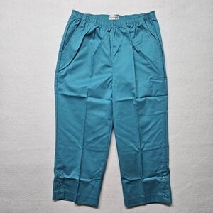 Draper's & Damon's Classic Comfort Pull-on Capris Blue Lake Sz Medium